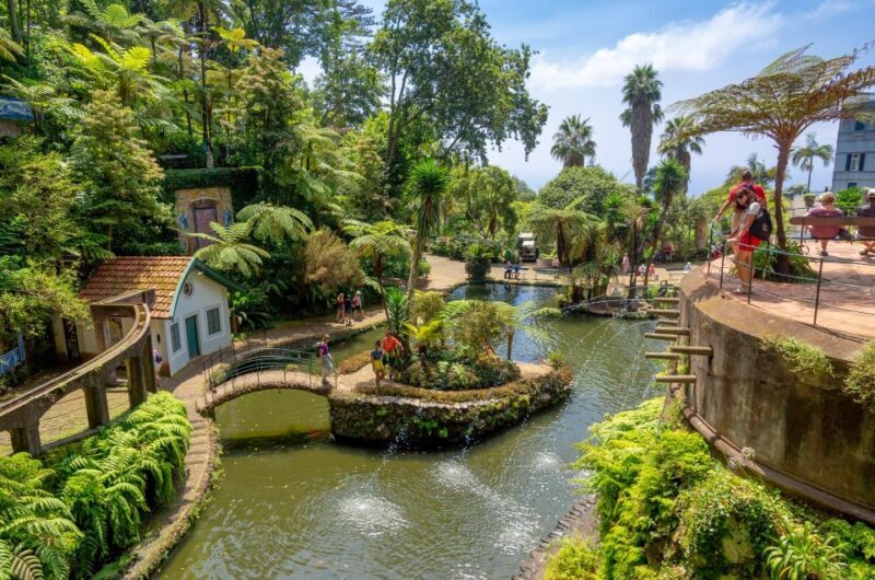 Funchal: Monte Palace Tropical Gardens Tuk Tuk Tour - Who Is This Tour Best Suited For?