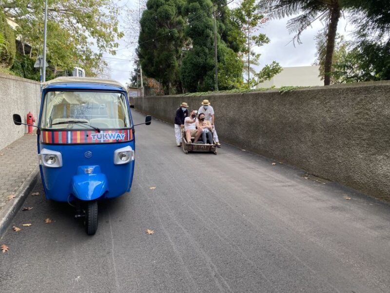 Funchal: Monte Tropical Garden & Toboggan Ride by Tuk Tuk - The Experience from the Eyes of Guests