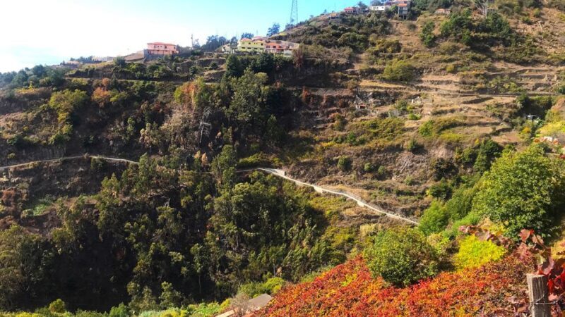Funchal: Northern Levada Walking Tour - The Value of the Experience