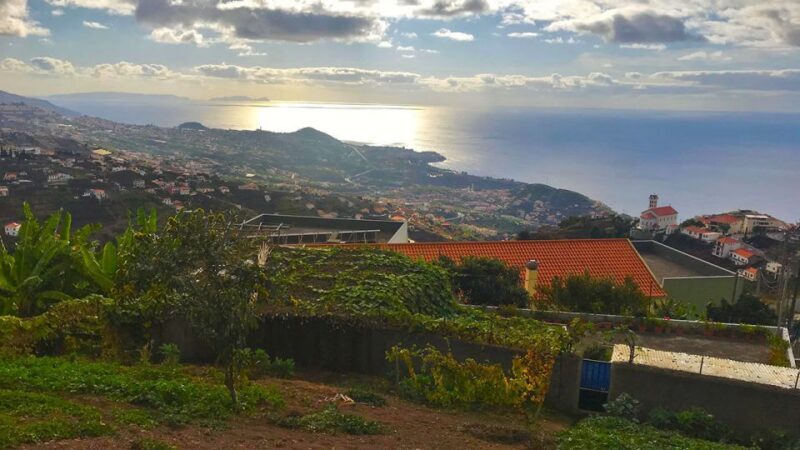 Funchal: Northern Levada Walking Tour - The Experience in Practice: What Makes It Special
