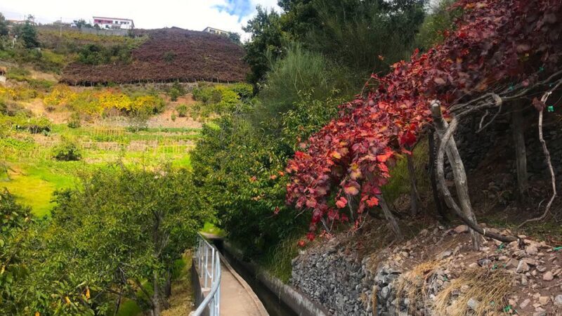 Funchal: Northern Levada Walking Tour - Final Thoughts