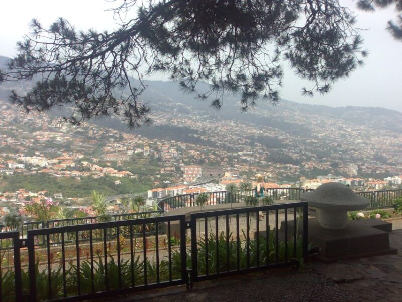 Funchal: Nuns Valley Half Day Tour - Pico dos Barcelos Lookout