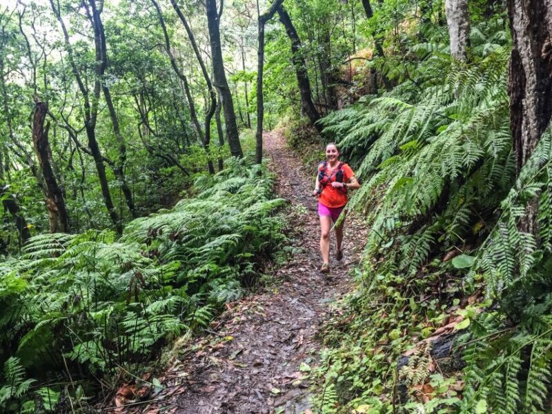 Funchal: Ocean to Mountain Running Tour - Value and Practical Considerations