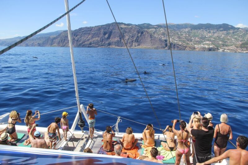 Funchal: Pico Arieiro, Cristo Rei and Dolphins Watching - Ending the Day Back in Funchal