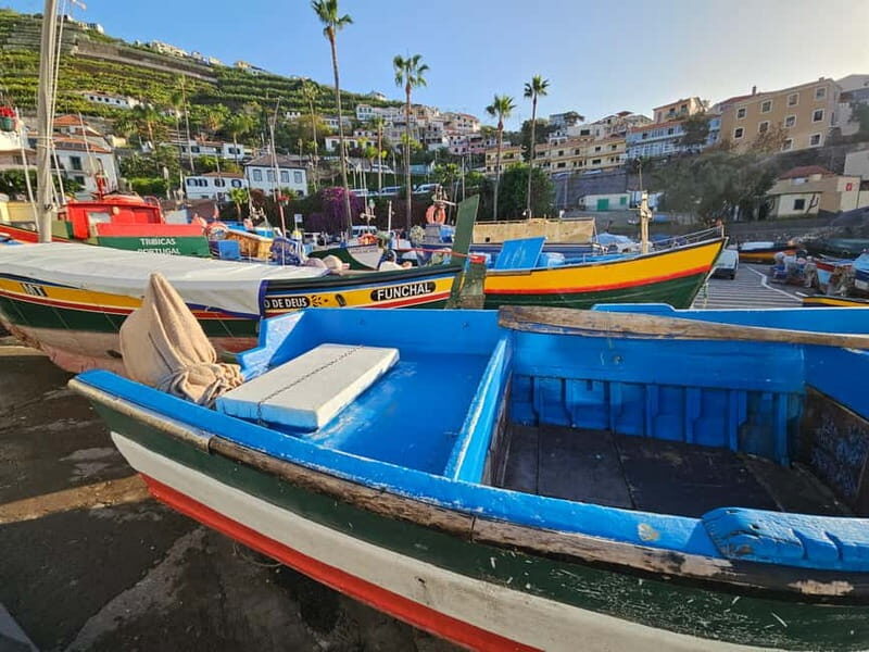 Funchal: Private Cable Car, Toboggan, and Skywalk Tour - Key Points