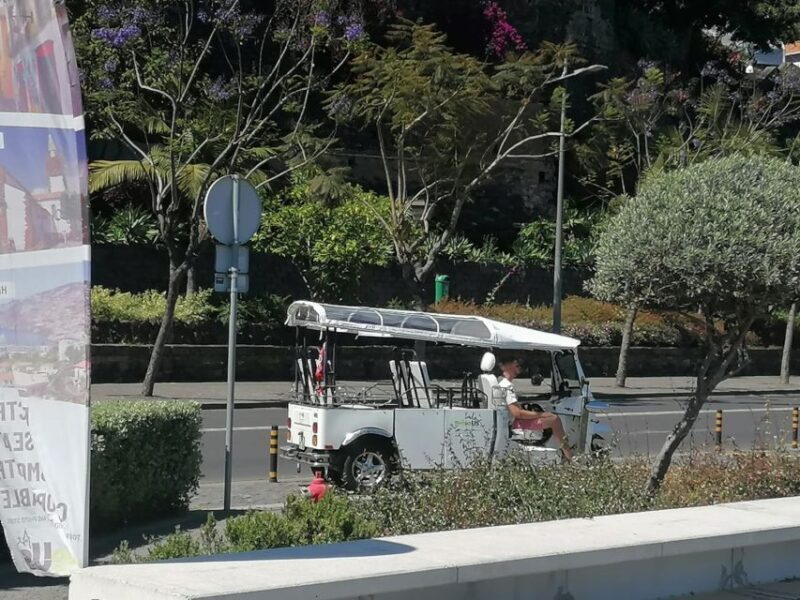 Funchal: Private Guided Tour of Historic Center by Tuk Tuk - The Sum Up