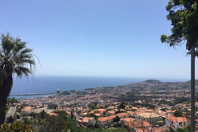 Funchal Private Vehicle Service with Driver for a Half Day or Full Day - The Experience in Detail