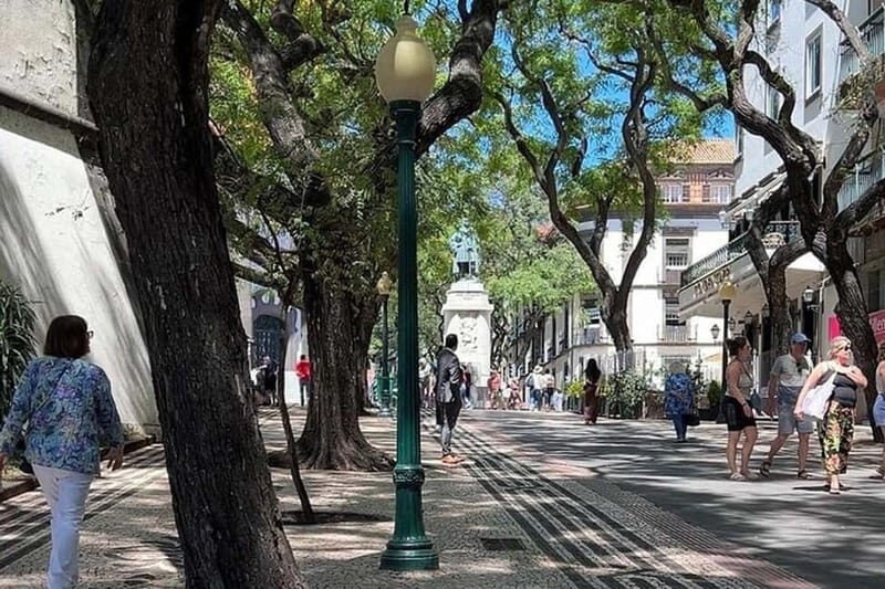 Funchal: Quick & Fun 30-Minute Tuk Tuk Tour with Local Guide - An Authentic, Fun-Filled Ride Through Funchal