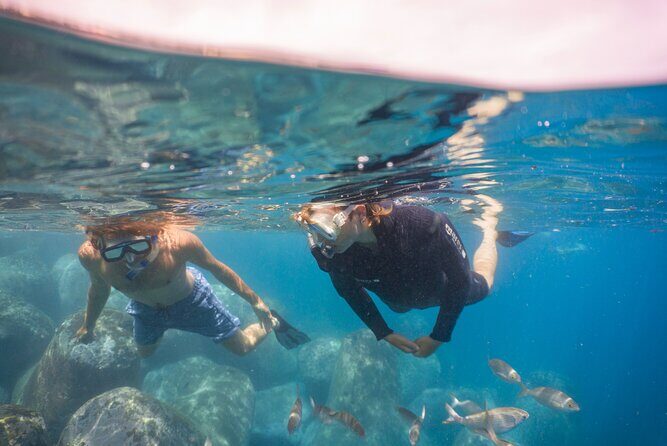 Funchal: Snorkeling Adventure in Eco-Park / Shore or by Boat - Weather and Cancellation Policies