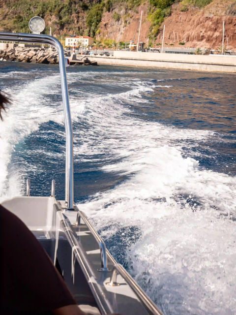 Funchal: Speedboat SEE THE ISLAND AND LIFE AT SEA - Who Should Book This Tour?