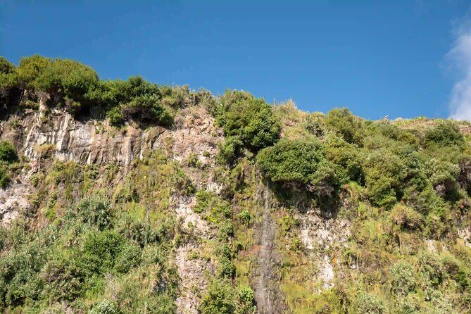 Funchal: Speedboat tour- SEE THE ISLAND AND LIFE AT SEA - Final Thoughts