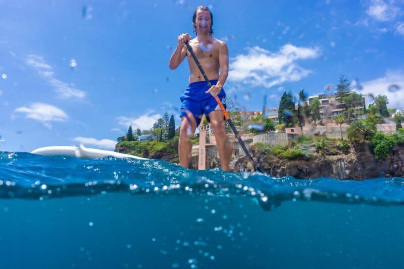 Funchal: SUP Rental or Guided tour with snorkeling - Key Points