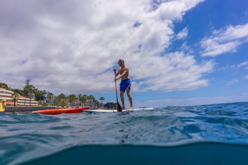 Funchal: SUP Rental or Guided tour with snorkeling - An In-Depth Look at the Experience