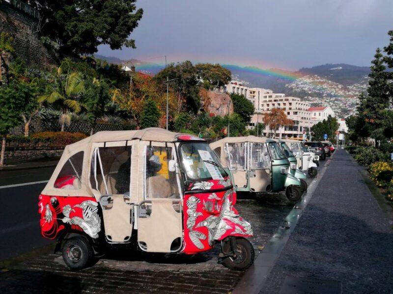 Funchal: Tuk Tuk Ride to Monte Funchal Toboggans - The Value of This Tour