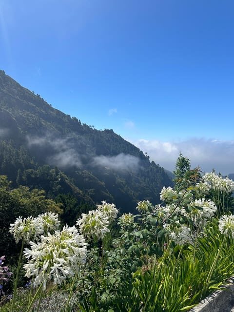 Funchal: Valley of the Nuns tour by tuk tuk - Key Points