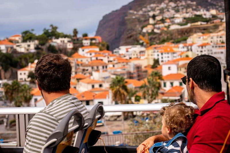 Funchal:Hop-on Hop-off Bus & Whale & Dolphin boat Excursion - A Deep Dive into the Experience