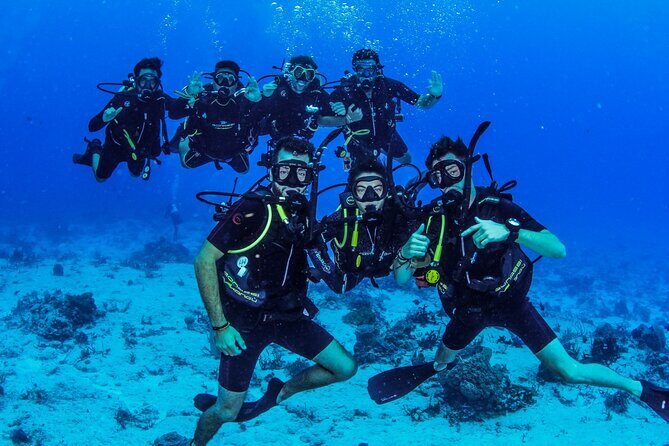 FunDiving in Cozumel - By Ferry - 2 Tanks in the wonderful Caribbean sea - Practical Tips for Booking and Participating
