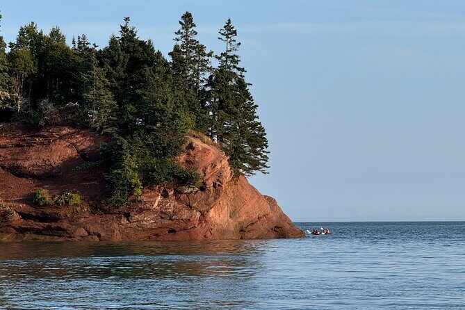 Fundy Shore Tour By Bus - Key Points