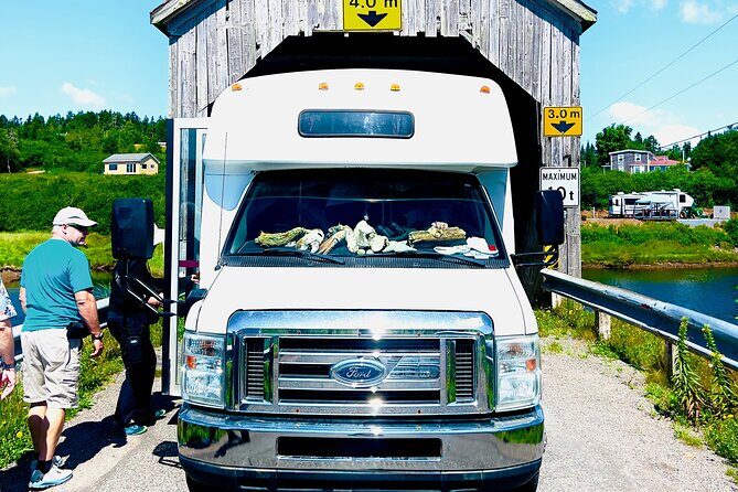 Fundy Shore Tour By Bus - A Deep Dive into the Fundy Shore Experience