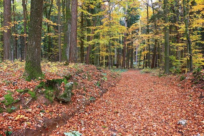 Fünf Seidla Steig ® Beer Hike Food Experience Private Tour (departs Nuremberg) - A Closer Look at the Experience