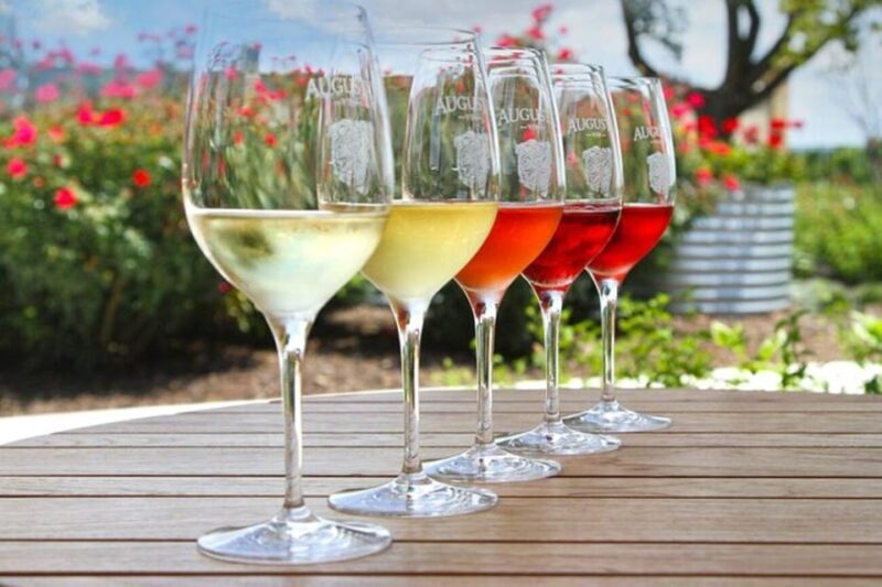 Funk Zone Wine & Food Tour - Practical Details to Keep in Mind