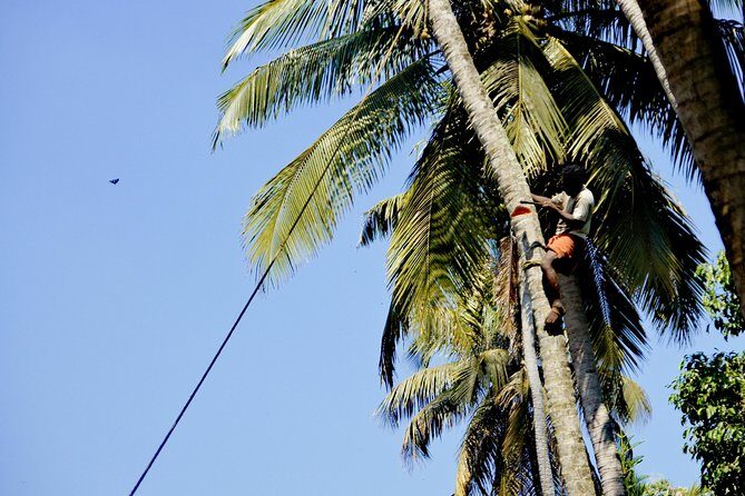 Funny and helpful Tuk Tuk Tour in Kochin - FAQ