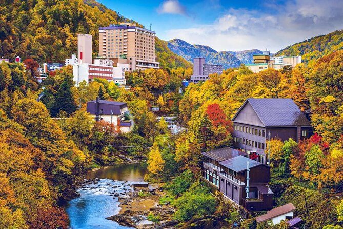 Furano & Biei Customised Private Day Tour (Up to 15 Pax/9 Hours) - Key Points