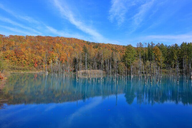 Furano Biei Tour Sapporo DEP: English Speaking Driver, No Guide - Itinerary Breakdown: What’s Included?