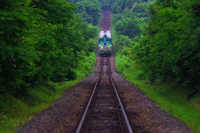Furano Biei Tour Sapporo DEP: English Speaking Driver, No Guide - Final Thoughts: Is This Tour for You?