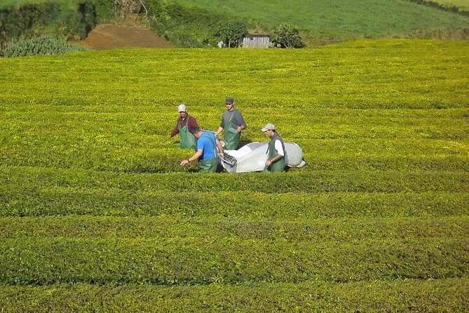 Furnas Full Day Tour | Full Day Furnas Tour (Min. 2 Persons) - FAQ