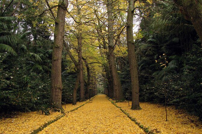 Furnas & Terra Nostra Botanic Park Tour w/Lunch + Hotsprings Bath - Key Points