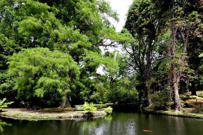 Furnas & Terra Nostra Botanic Park Tour w/Lunch + Hotsprings Bath - Final Thoughts