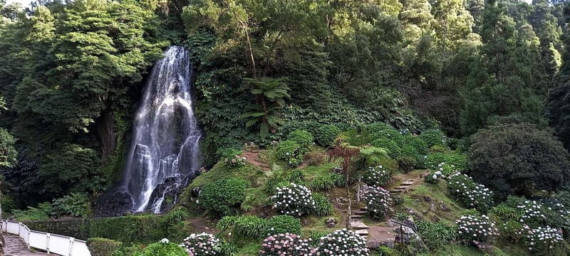 Furnas Volcano: Full Day Tour, Hot Springs & Waterfalls - A Deep Dive into the Full-Day Adventure