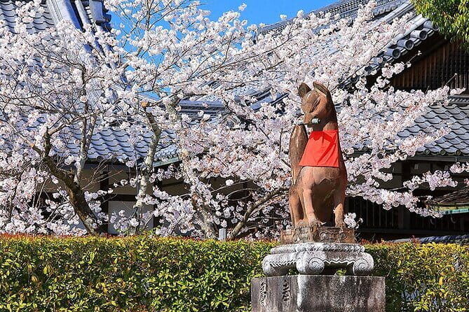 Fushimi Cherry Blossom and Sake Brewery Tour - FAQ