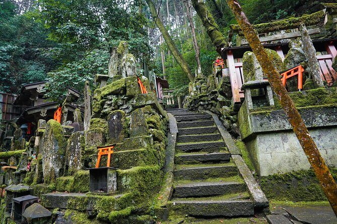 Fushimi Inari Hidden Hiking Tour - Who Will Love This Tour?