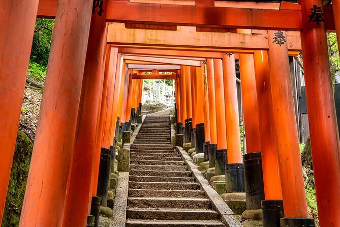 Fushimi Inari Mountain Hiking Tour with a Local Guide - Who Should Consider This Tour?