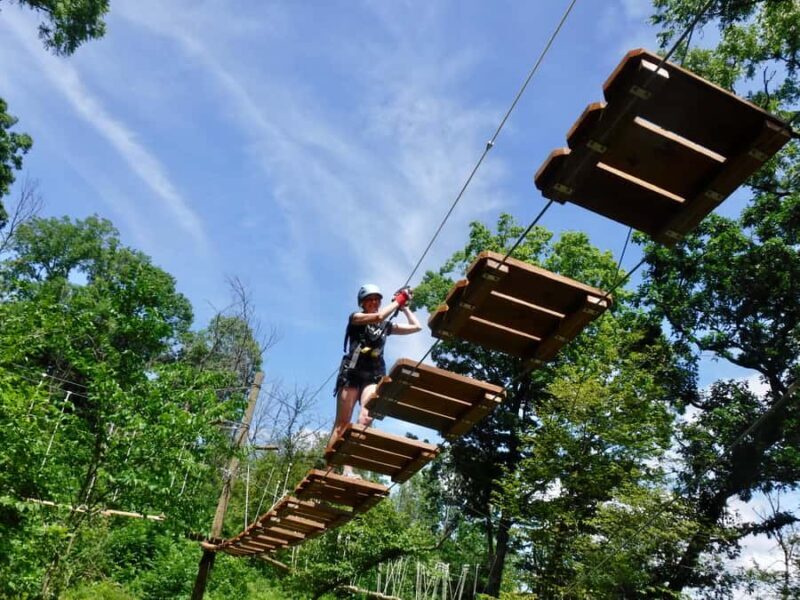 Galena: Aerial Adventure Park- Long Hollow Canopy Tours - A Close Look at the Experience