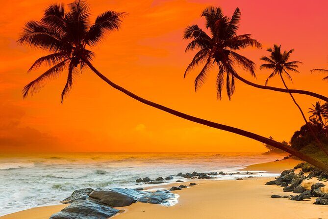 Galle & Bentota Day Tour with River safari From Colombo & Negombo - The Sum Up