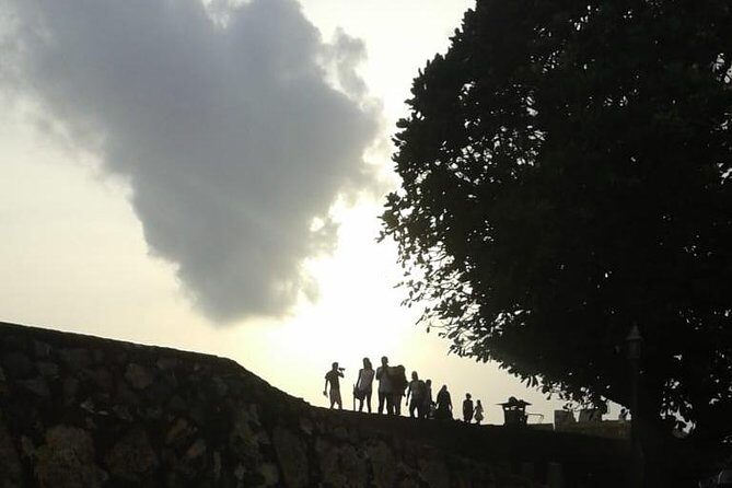 Galle City Day-Tour from Mirissa - Comfort and Practicalities