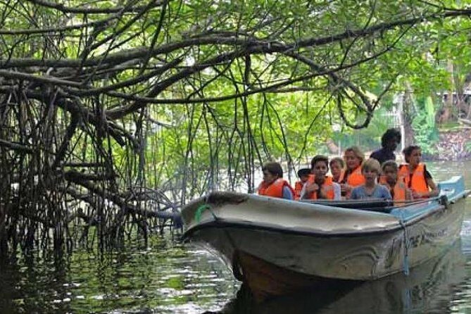 Galle Day Private Tour Beruwala/Bentota/Kosgoda/Ahungalla - FAQ