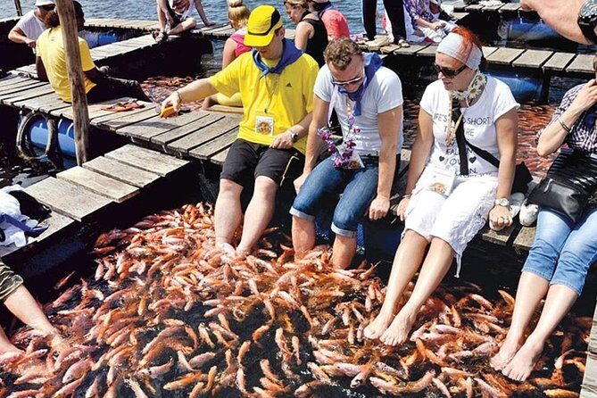 Galle Day Tour From Kalutara / Wadduwa - The Sum Up