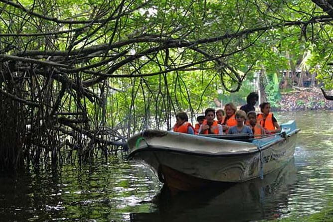 Galle Day Trip With Mangrove Safari From Negombo - Key Points