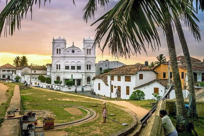 Galle Day Trip With Mangrove Safari From Negombo - Who is This Tour Best For?