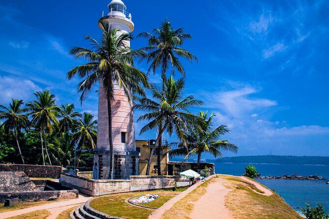 Galle Day Trip with River Safari, Sea Turtle & Stilt Fishermen - Exploring the Mangroves and Wildlife