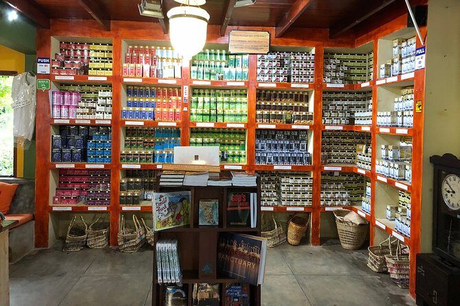 Galle Fort And Tea Factory Visit - Why Choose This Tour?