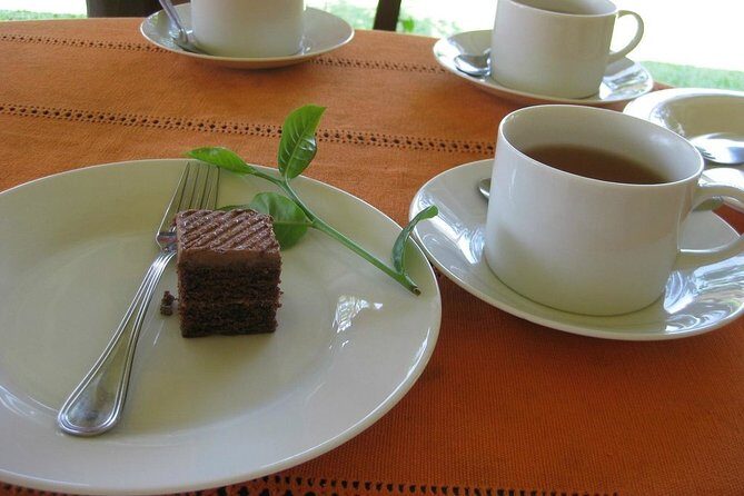 Galle Fort And Tea Factory Visit - Who is this tour best suited for?
