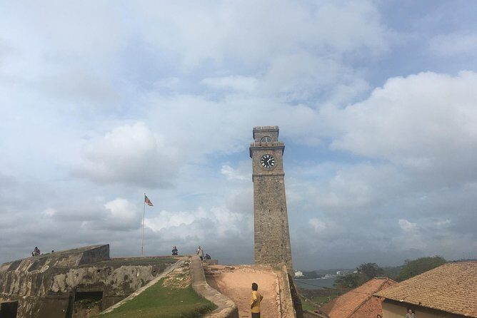 Galle Fort & boat safari & Turtles Day Trip - An In-Depth Look at the Tour Experience