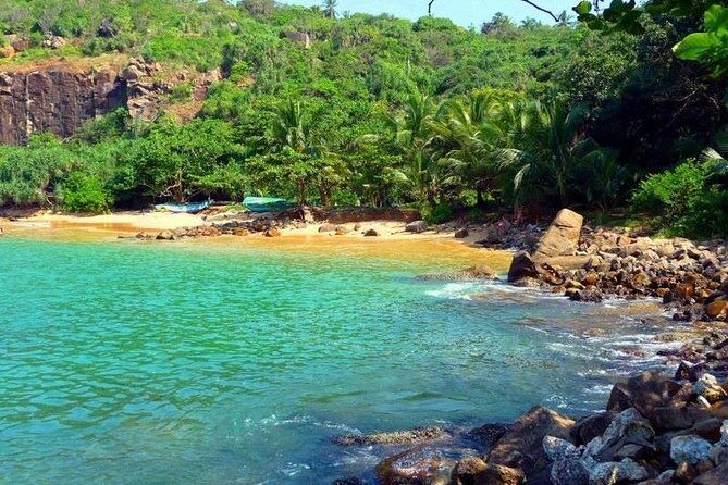 Galle Fort & Jungle Beach Day Trip from Colombo - The Practical Side: What This Tour Means for You