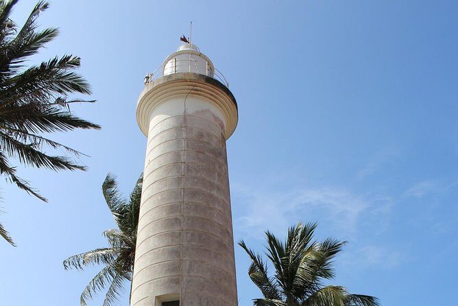 Galle Fort, Turtle, - Private Day Tour From Negombo or Colombo - Madu Wetlands and River: Scenic Nature at Its Best