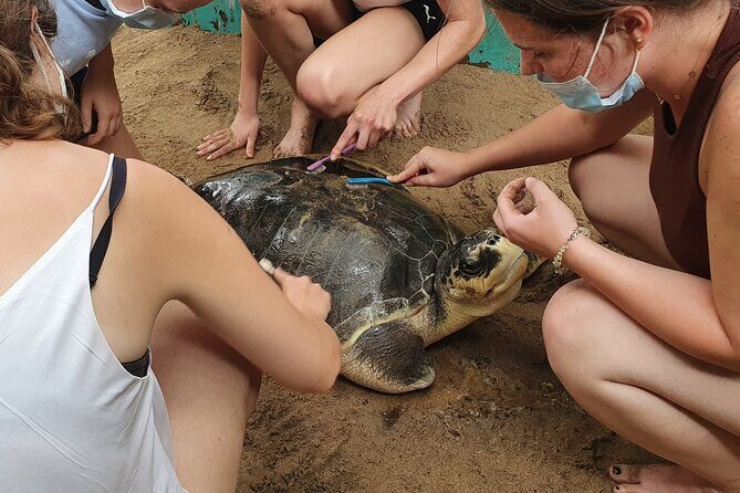 Galle Full-Day Tour - Final Thoughts: Is This Tour for You?